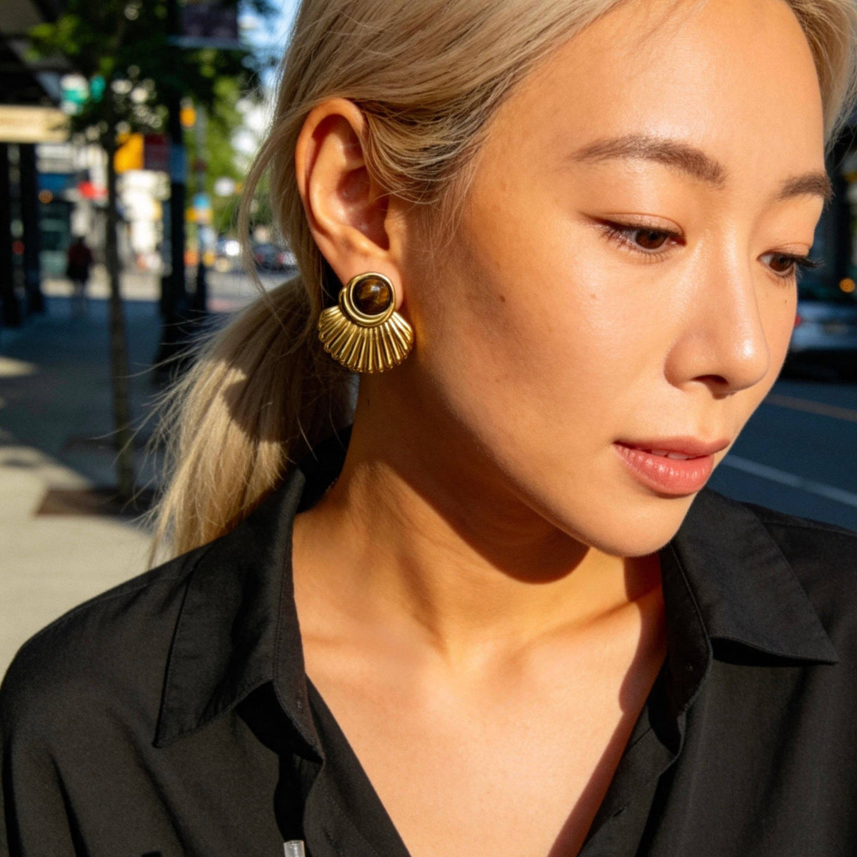 Stainless Steel Tiger Eye Fan Earrings